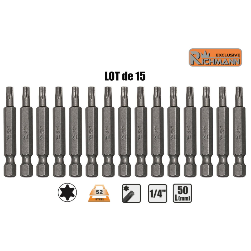 Lot 15 Embouts longs T35 TORX T-35 entrainement 1/4" S2 L50mm RICHMANN C6598