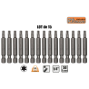 Lot 15 Embouts longs T35 TORX T-35 entrainement 1/4" S2 L50mm RICHMANN C6598