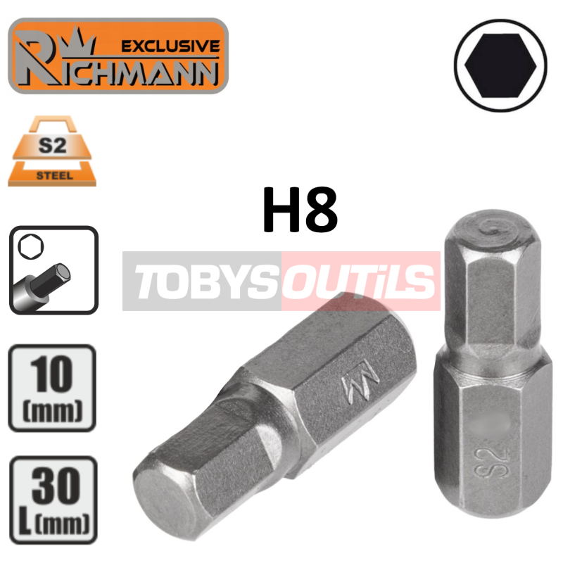 Embout H8 BTR ALLEN IMBUS HEX 6p entrainement 10 mm 3/8" Acier S2 RICHMANN C3254