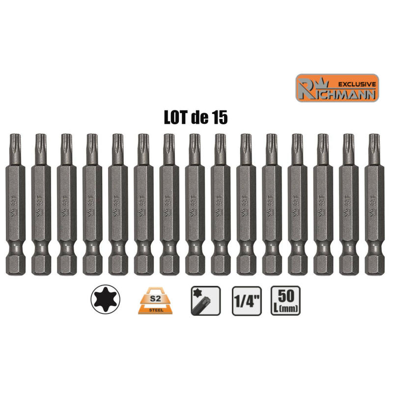 Lot 15 Embouts longs T30 TORX T-30 entrainement 1/4" S2 L50mm RICHMANN C6597